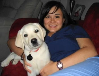 labradors/44444.jpg