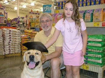 labradors/Napoleon.jpg