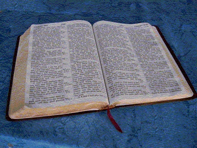 labradors/bible.gif