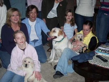 labradors/cooperartidello.jpg
