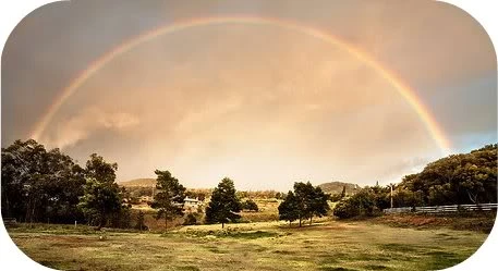 labradors/rainbow1.jpg