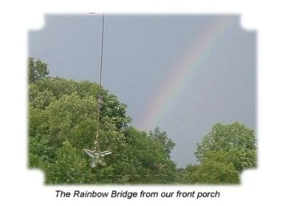 labradors/rainbowfromporch.jpg